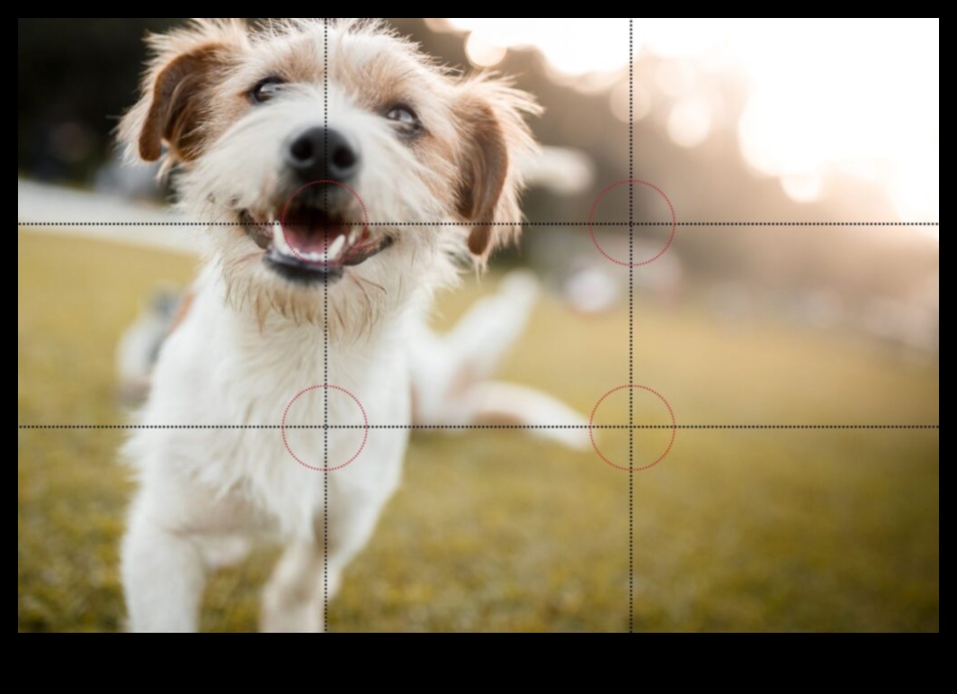 Visual Virtuoso Transforming Ordinary Shots into Extraordinary Art 3 Visual Virtuoso: Transforming Ordinary Shots into Extraordinary Art