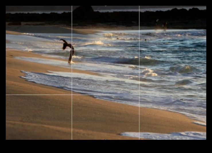 Visual Virtuoso Transforming Ordinary Shots into Extraordinary Art 5 Visual Virtuoso: Transforming Ordinary Shots into Extraordinary Art