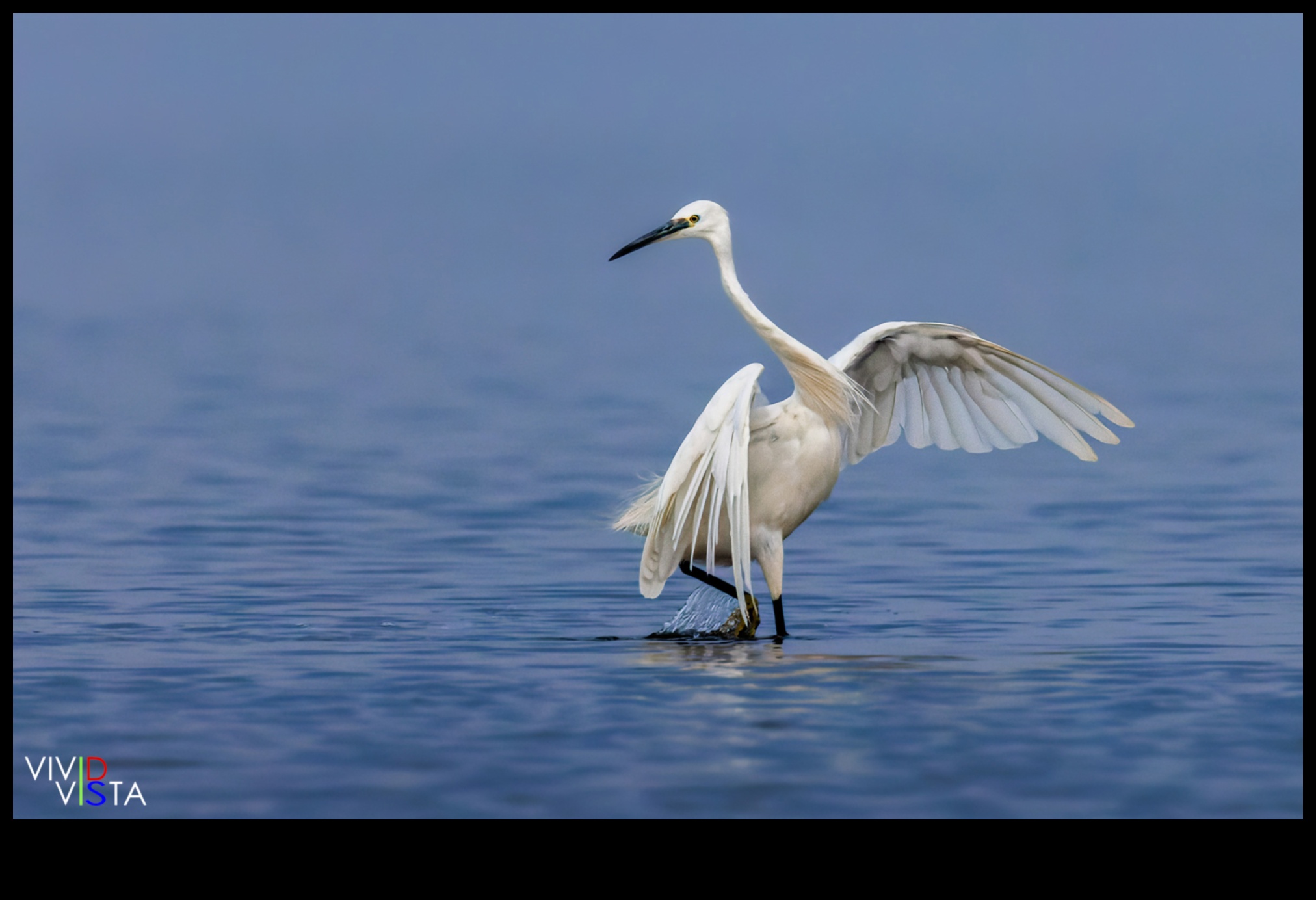 Vivid Vistas: Immersive Travel Experiences Through Photography