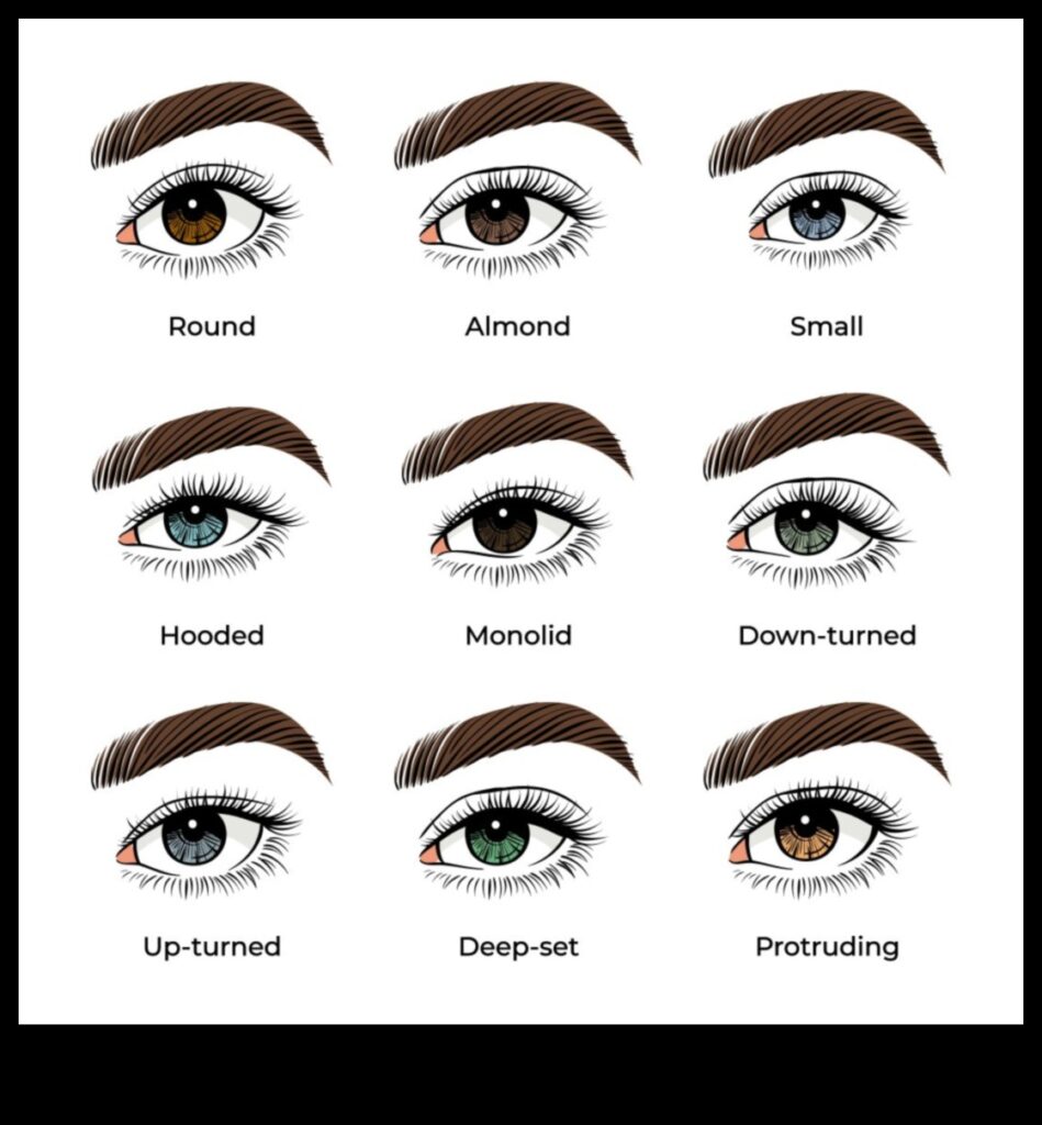 Which Eyeshadow Is Right for You A Guide to Coverage Options 1
