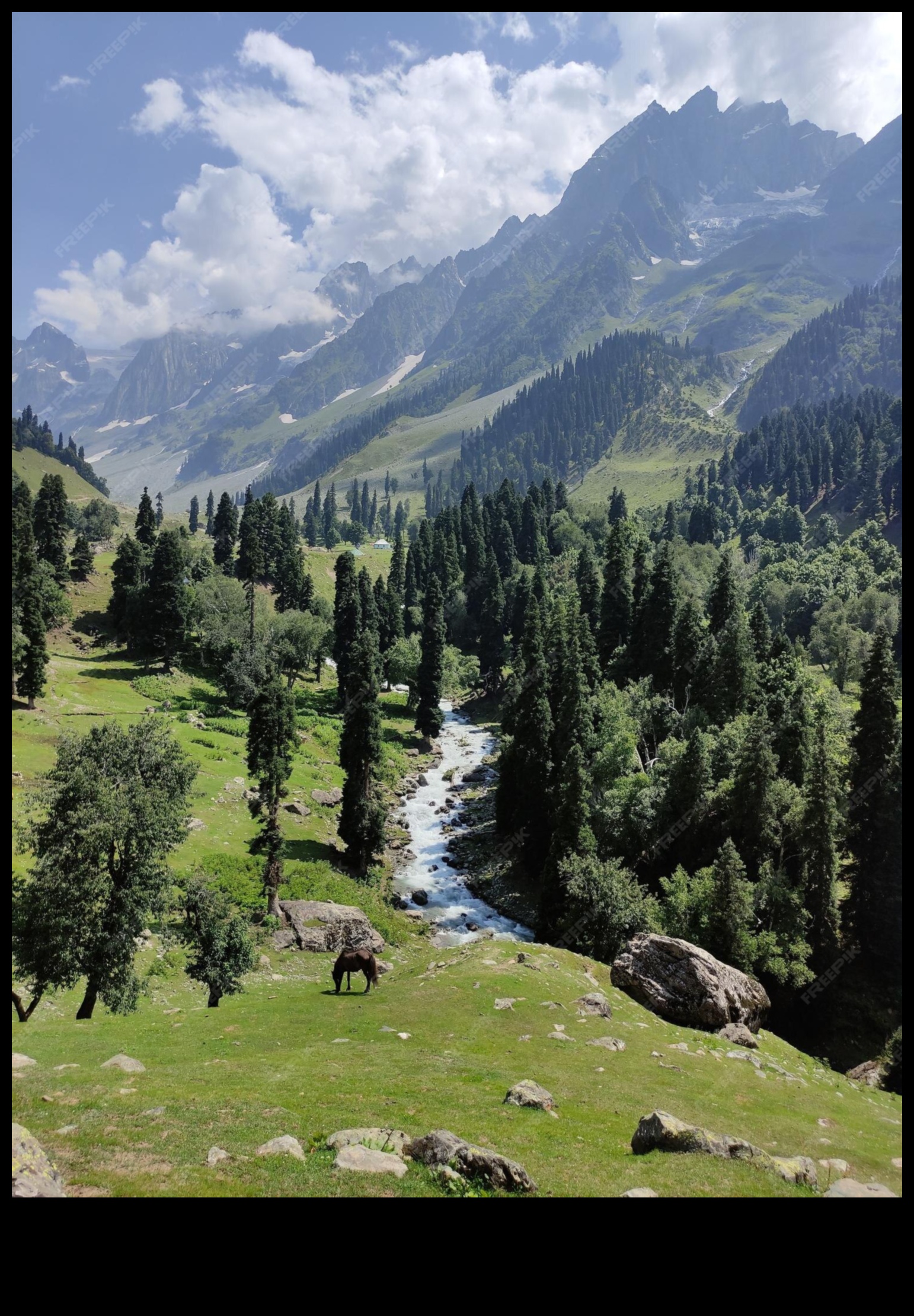 Whispers of the Wilderness Nature's Tales in Photography 1 Whispers of the Wilderness: Nature's Tales in Photography