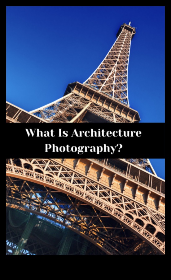 Wide-Angle Wonders: Precision-Crafted Lenses for Every Photography Style