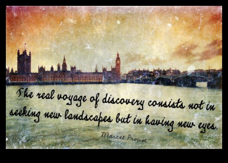 Wide-Angle Wonders: Exploring the Power of Premium Lenses