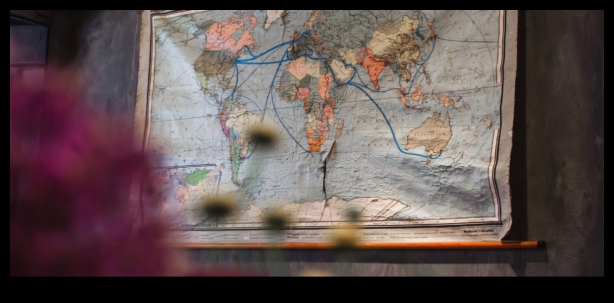 Wide-Angle Wonders: Exploring the Power of Premium Lenses