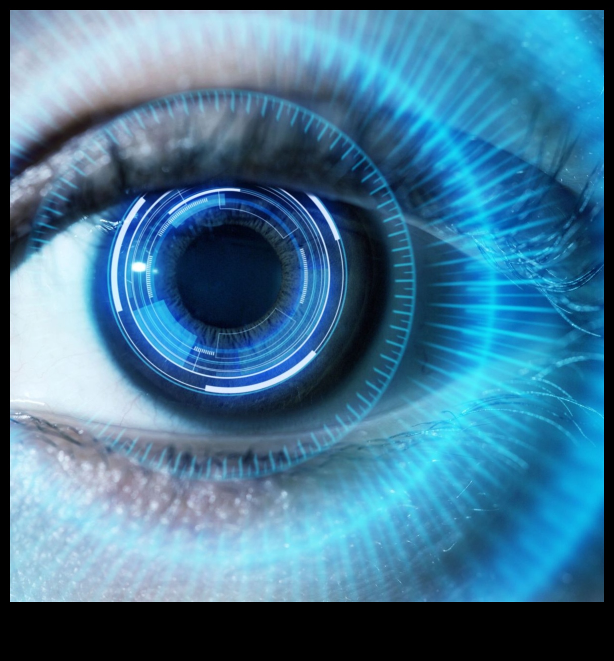 Wide-Angle Wonders: Exploring the Power of Premium Lenses