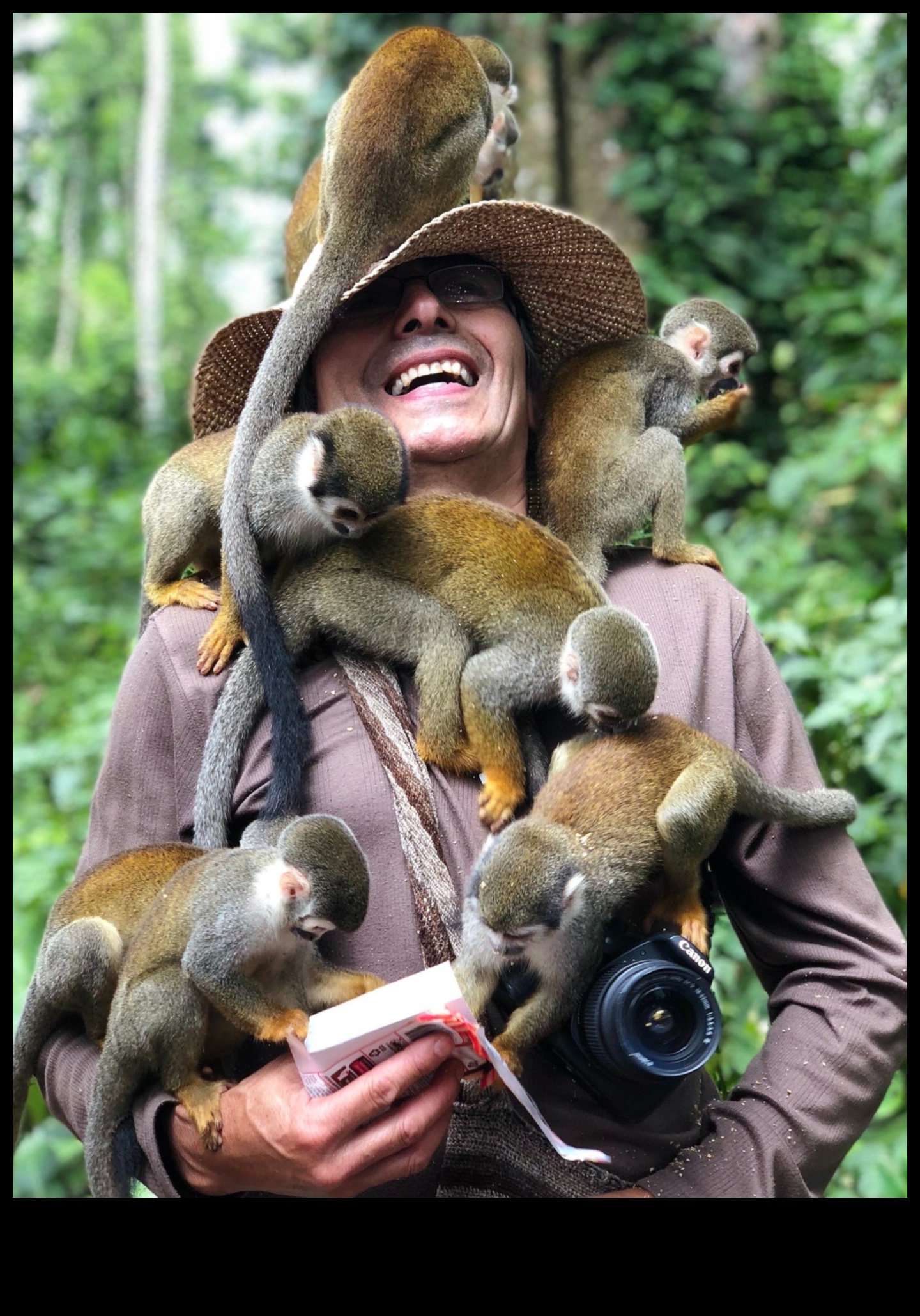 Wildlife Wonders Capture Nature's Majesty with Animal Photography Styles 2 Wildlife Wonders: Capturing Nature's Majesty with Animal Photography Styles