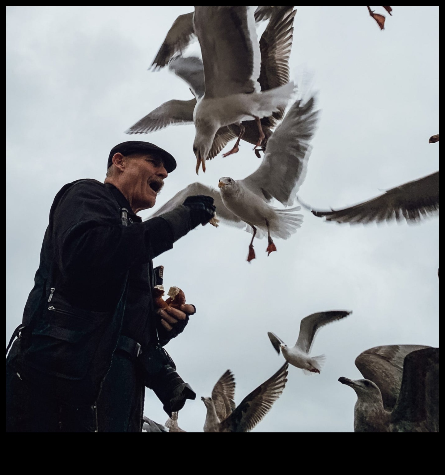 Wildlife Wonders Capture Nature's Majesty with Animal Photography Styles 4 Wildlife Wonders: Capturing Nature's Majesty with Animal Photography Styles