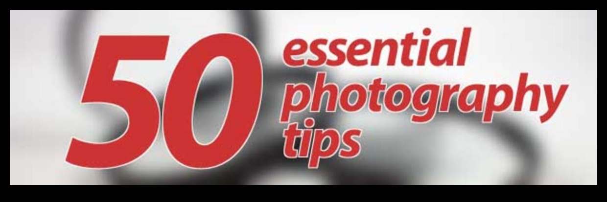 Zoom In, Tune Up Essential Tips for Digital Photography 1 Zoom In, Tune Up: Essential Tips for Digital Photography