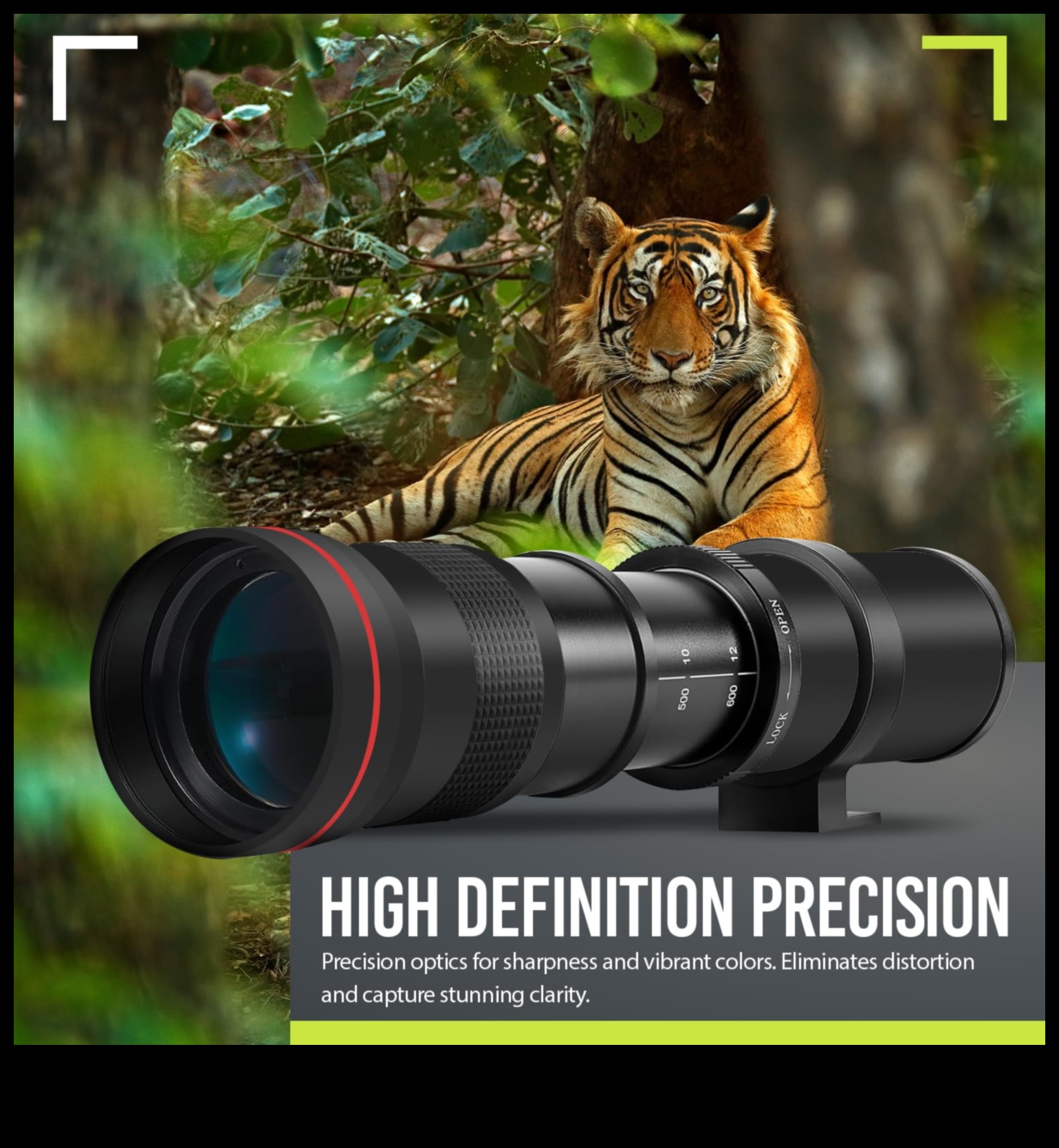 Zooming Zenith Capture the World with Precision Optics 4 Zooming Zenith: Elevating Your Photography with Precision Optics